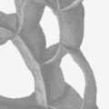 Journal of Practical Ethics | The Uehiro Oxford Institute