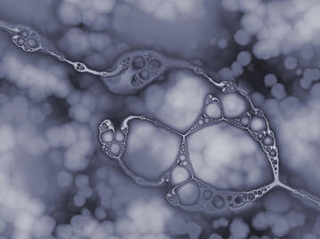 colorized abstract image of neuronal connections