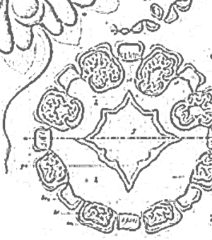 archival image as person placeholder